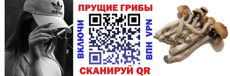 маркетплейс как зайти  Кунгур  Псилоцибиновые грибы GOLDEN TEACHER  kraken ONION 