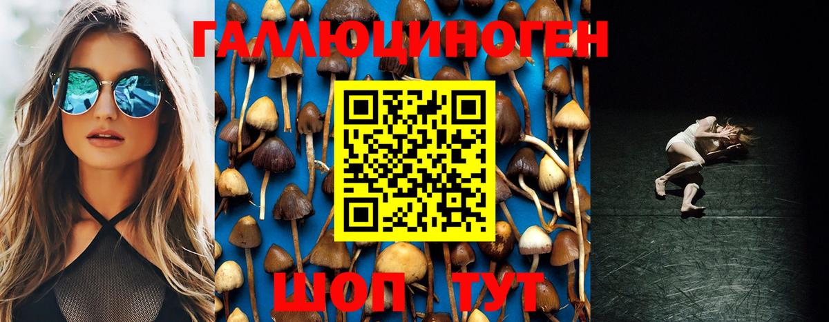 Галлюциногенные грибы мицелий  Вход с VPN  Кунгур 
